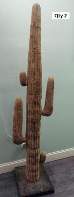 Cacti7
