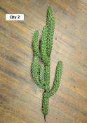 Cacti3